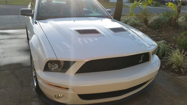 2008 ford mustang shelby gt500