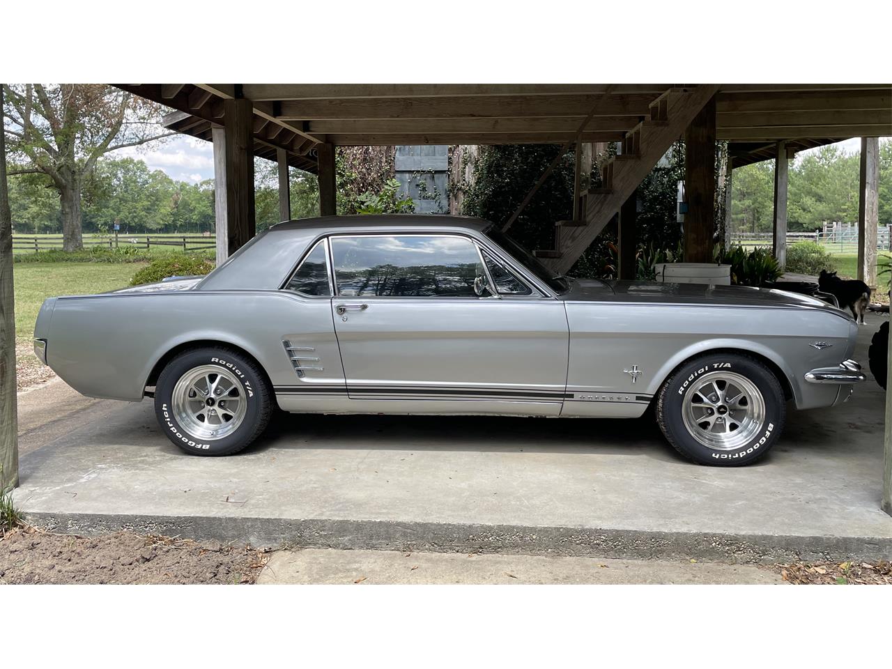 1966 ford mustang