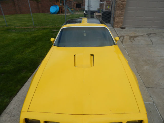 1979 pontiac trans am (t-tops) 6.6 litre