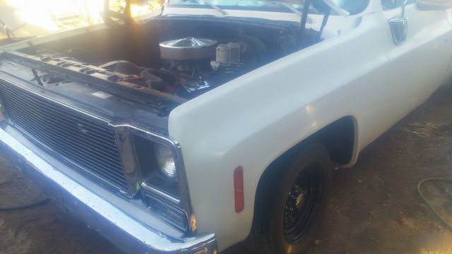 1979 chevrolet c20