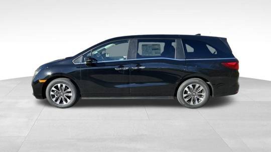 2024 Honda Odyssey (North America)