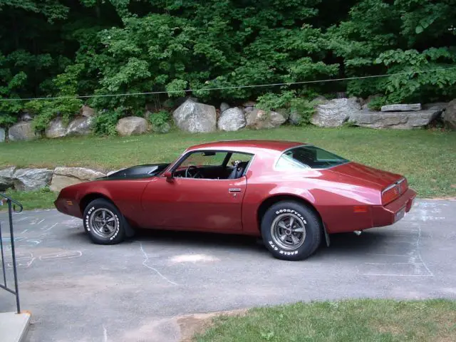 1979 firebird - show car quality - older restoration but still flawless