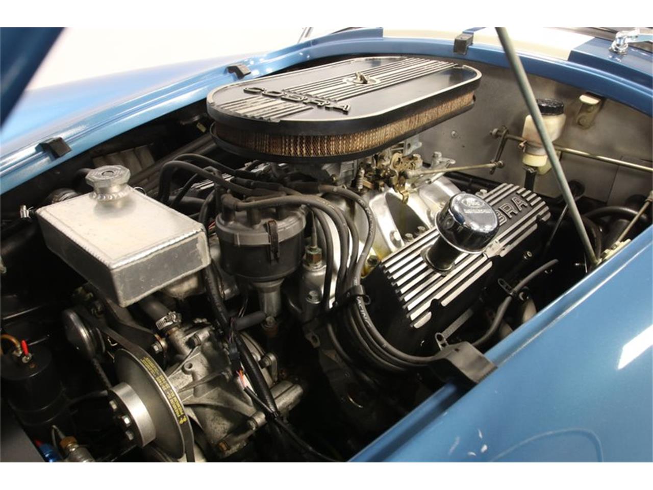 1965 shelby cobra