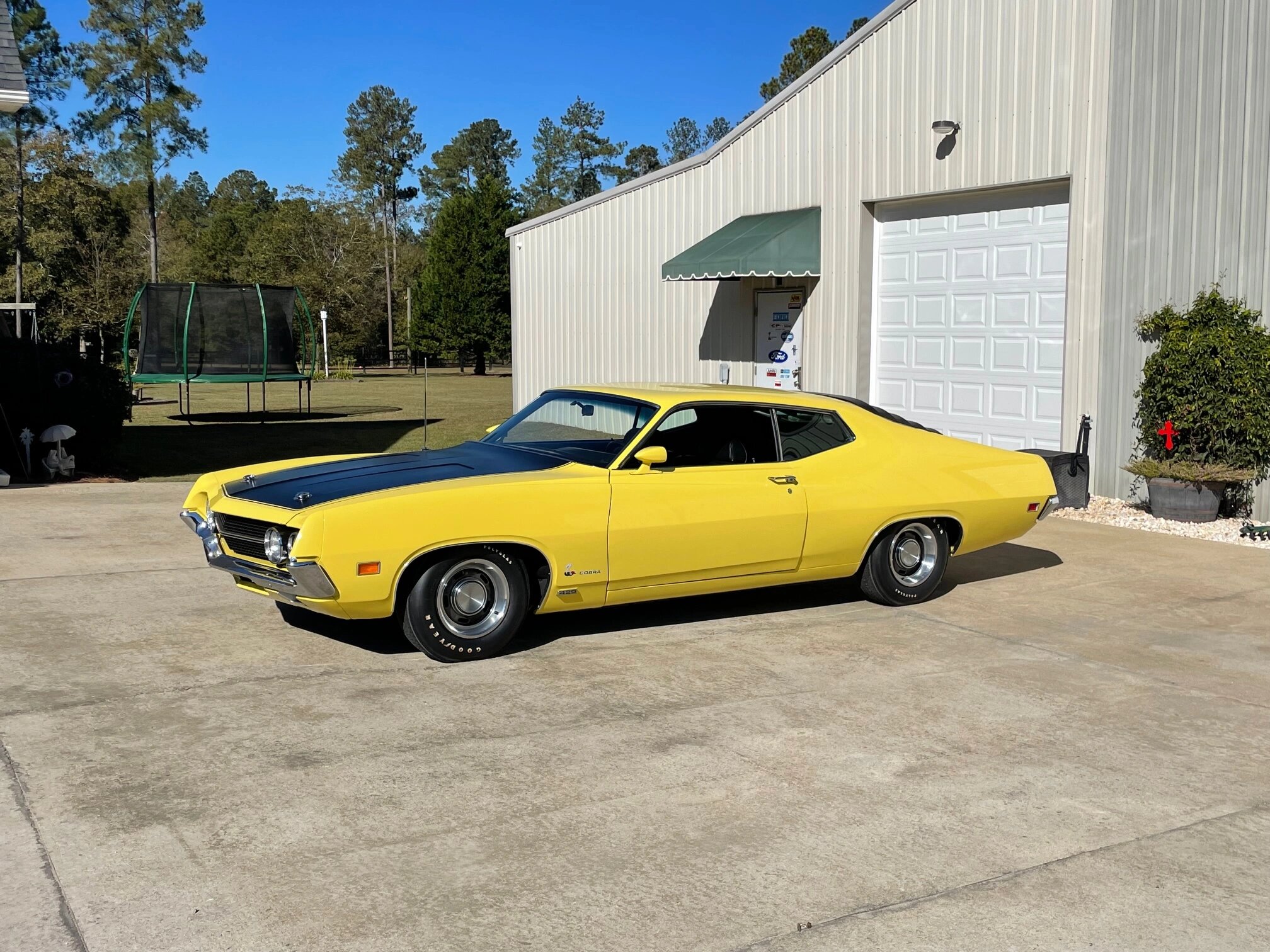 ford torino cobra