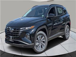 2024 Hyundai Tucson blue