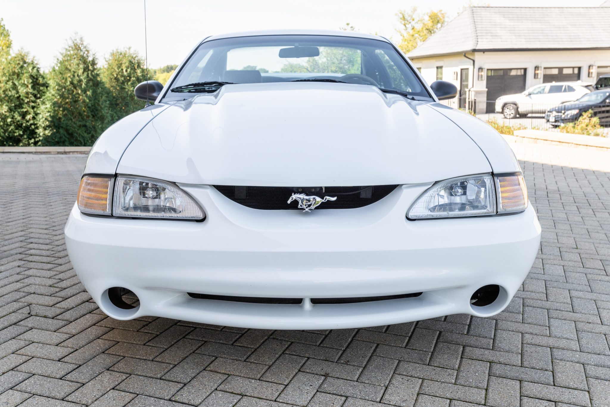 1995 ford mustang svt cobra r