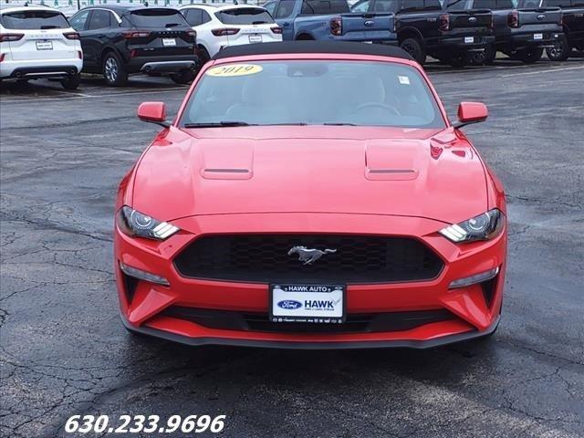 2019 ford mustang