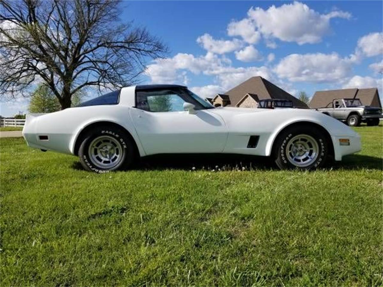 1981 chevrolet corvette