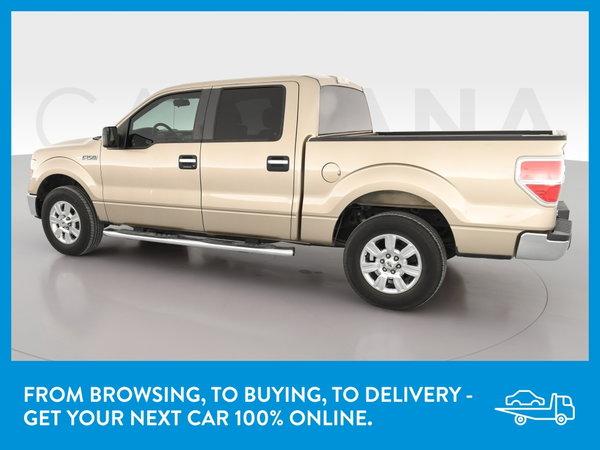 2011 ford f150 supercrew cab in saint louis, missouri