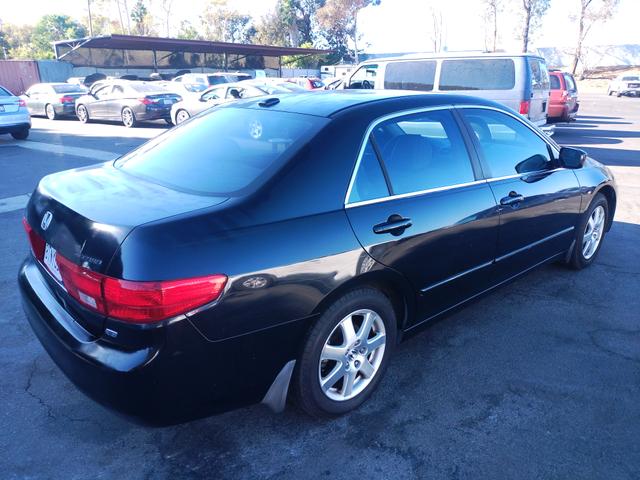 2005 honda accord ex-l