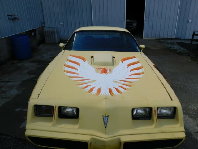 1979 pontiac firebird trans am automatic project car no reserve!!!!
