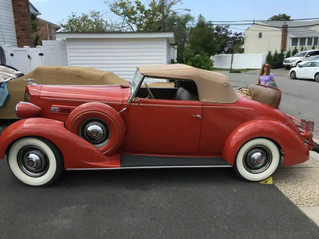 1936 packard 120 roadster