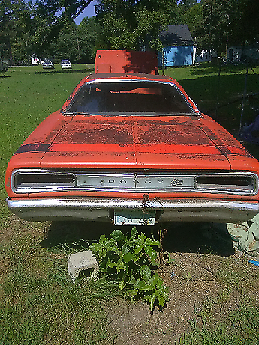 "super bee"