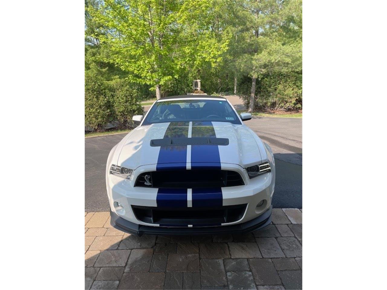 2013 ford mustang shelby gt500