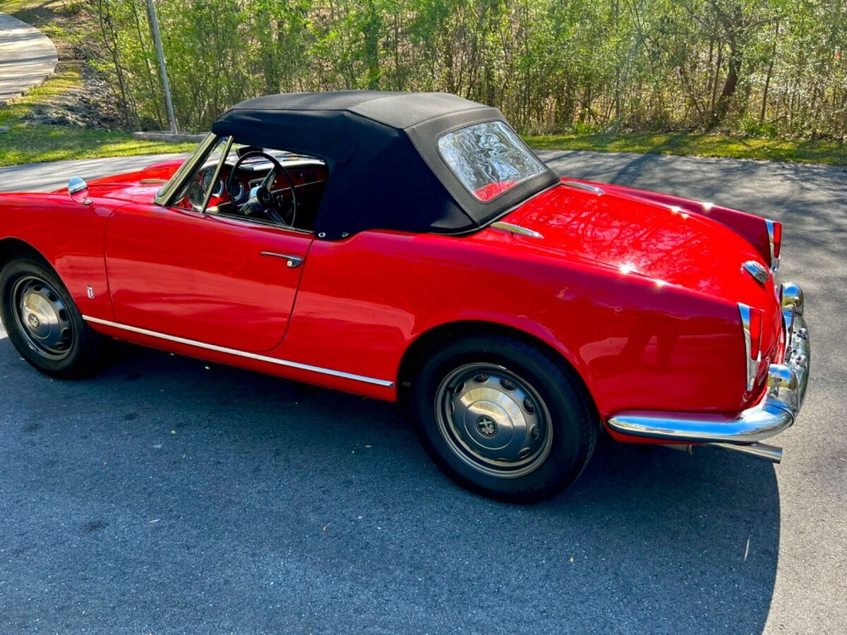 1965 alfa romeo giulia spider