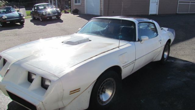 1981 pontiac trans am factory 4 speed t-tops, runs great solid original rare!!!!