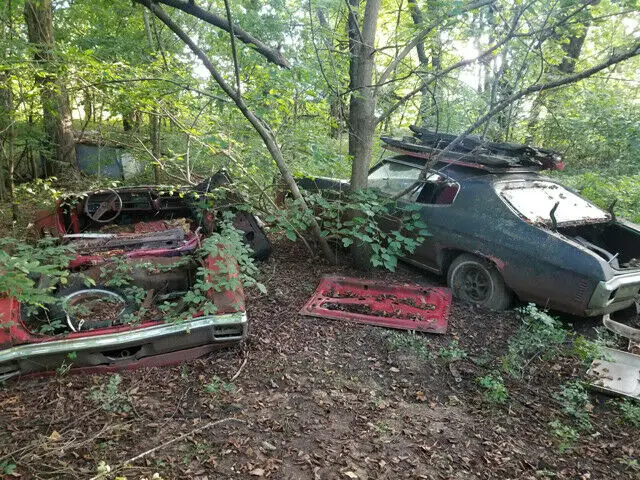 two 1970 malibus one price! found in the woods 1 mile from my house. great deal
