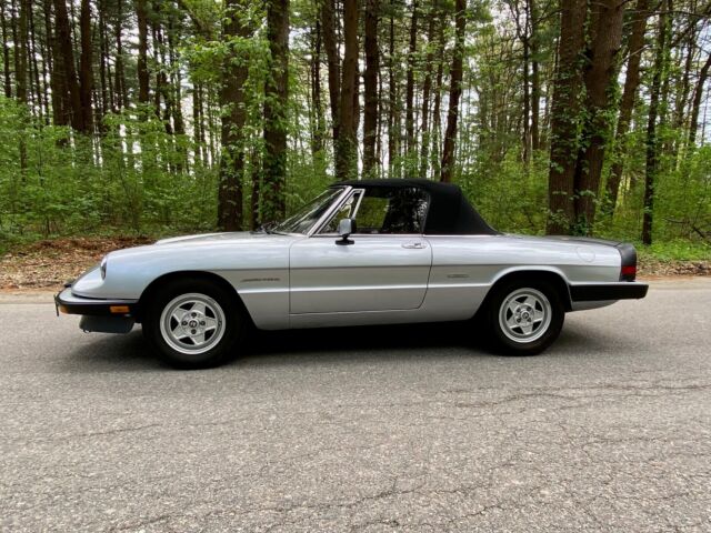 1986 alfa romeo spider convertible grey rwd manual 2000 spider