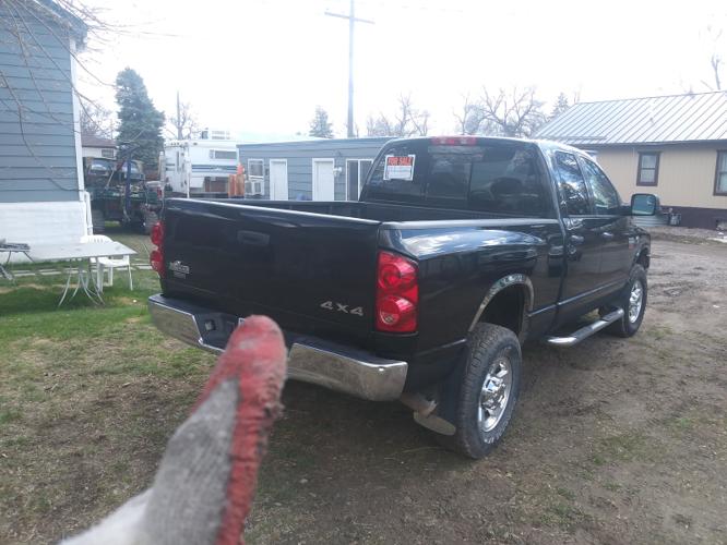used 2008 dodge ram 2500 truck 4x4 quad cab great falls, mt 59401 for sale in great falls, montana