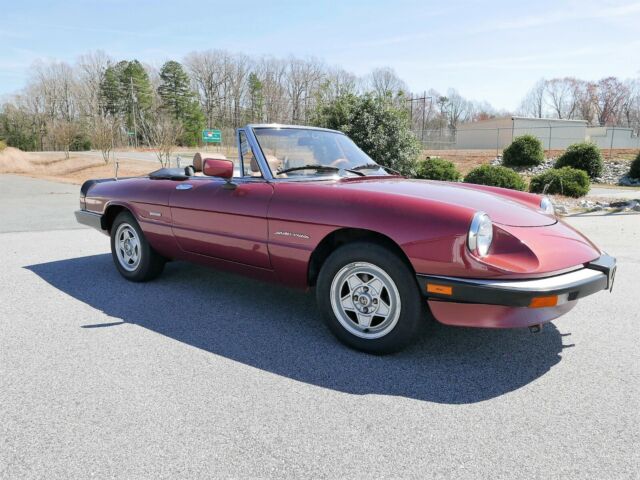 1989 alfa romeo spider veloce *north carolina*