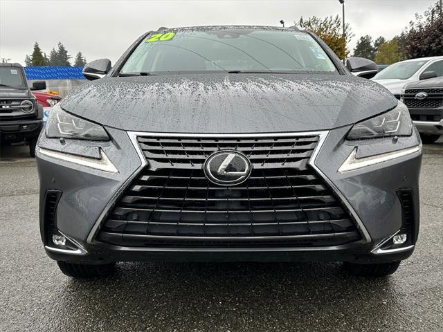 2020 lexus nx 300 luxury