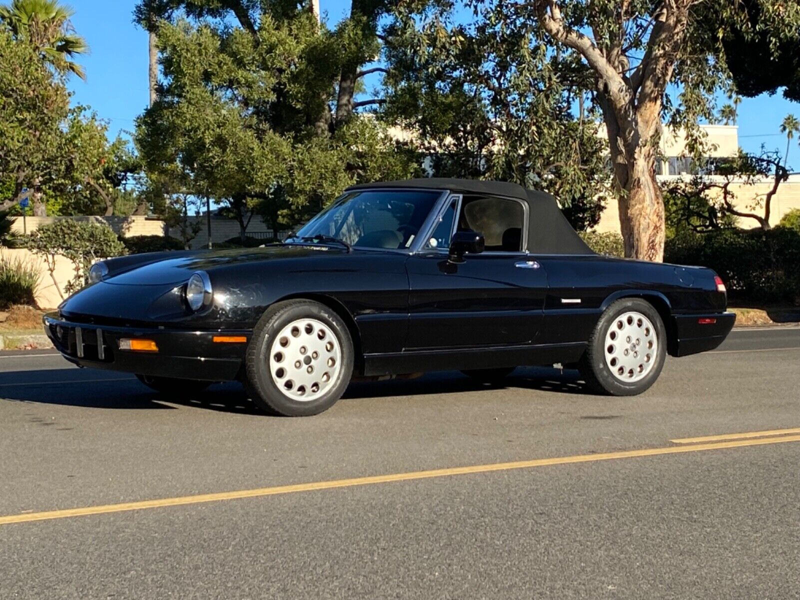 1992 alfa romeo spider veloce