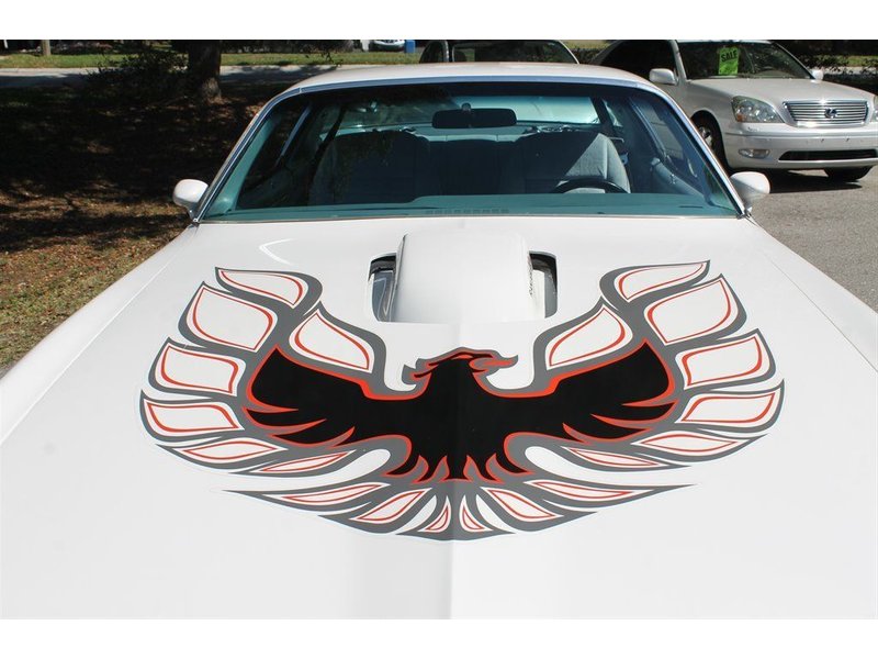 pontiac trans am coupe