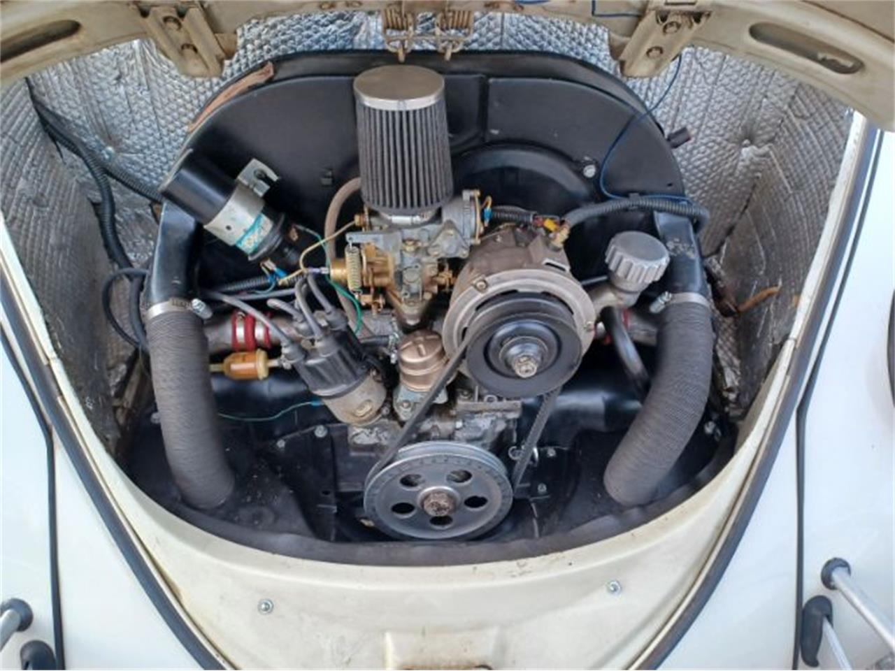 1966 volkswagen beetle