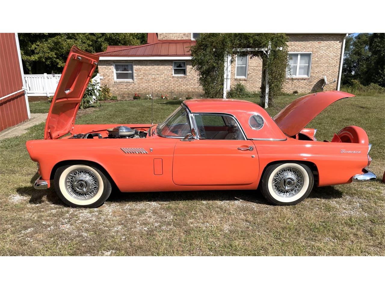 1956 ford thunderbird