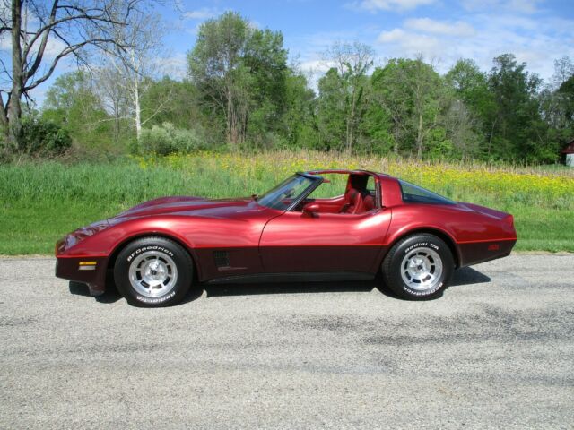 1981 corvette like new condition 49,752 actual miles beautiful color scheme