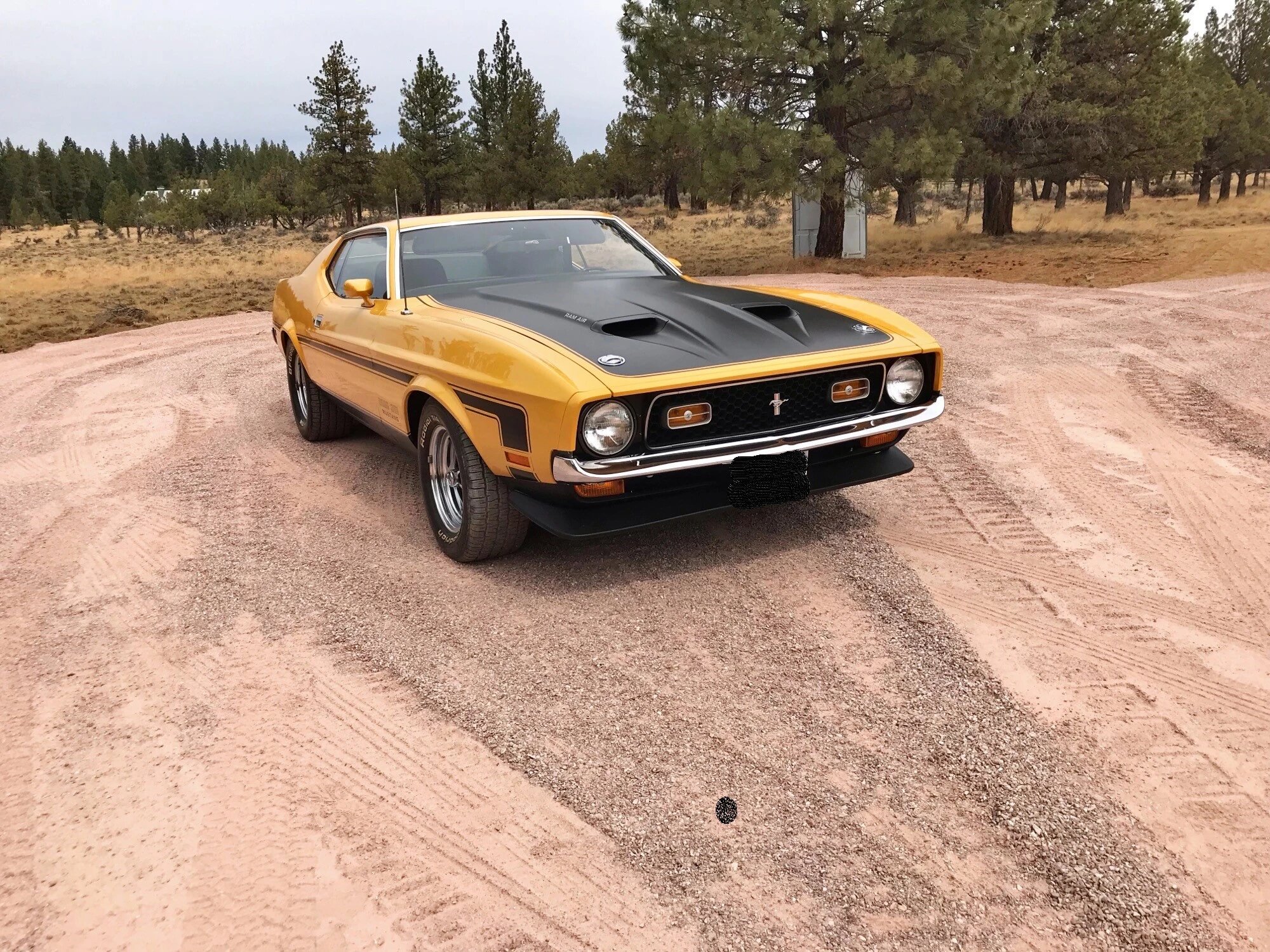 ford mustang boss