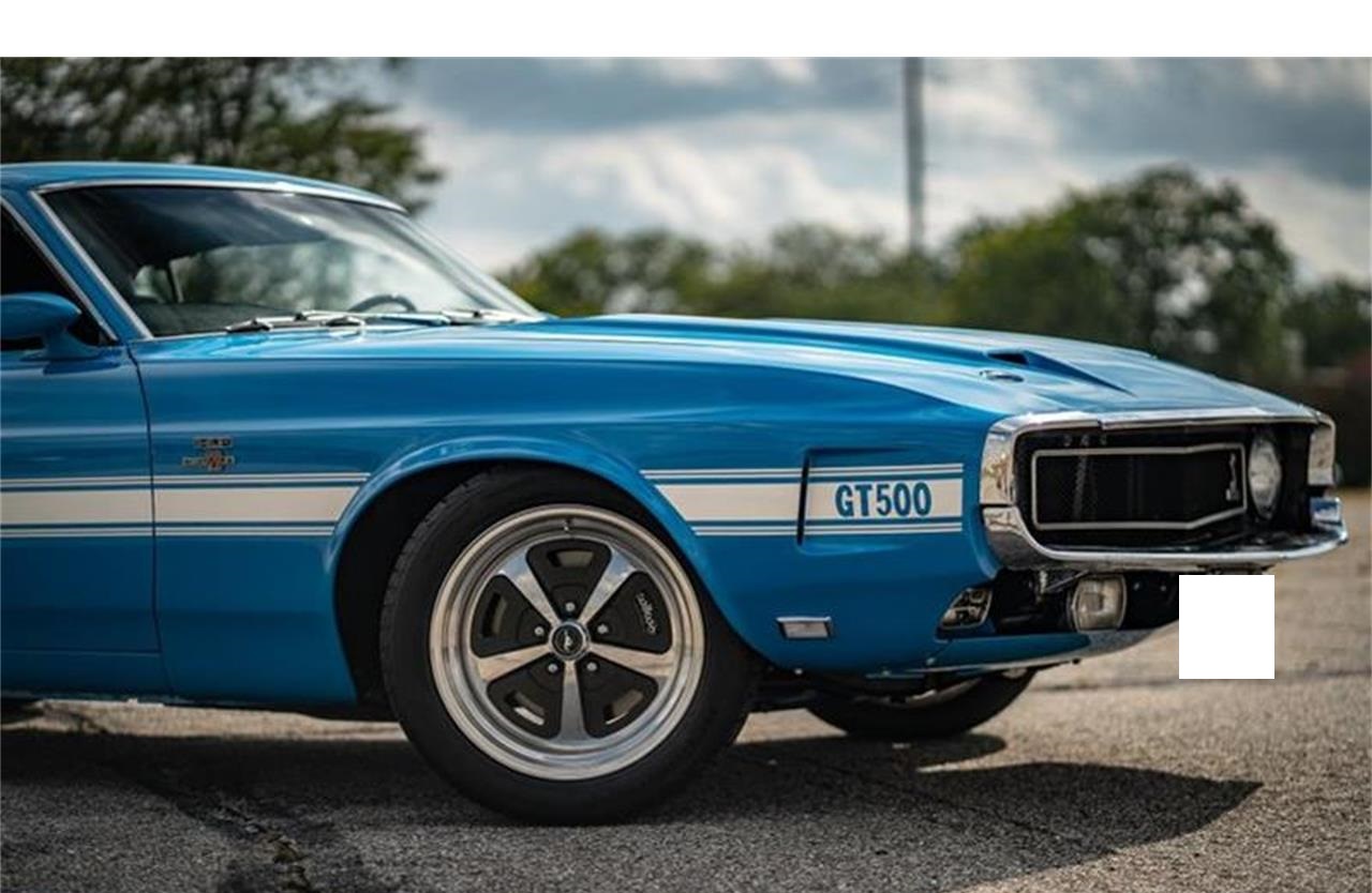 1969 shelby gt500