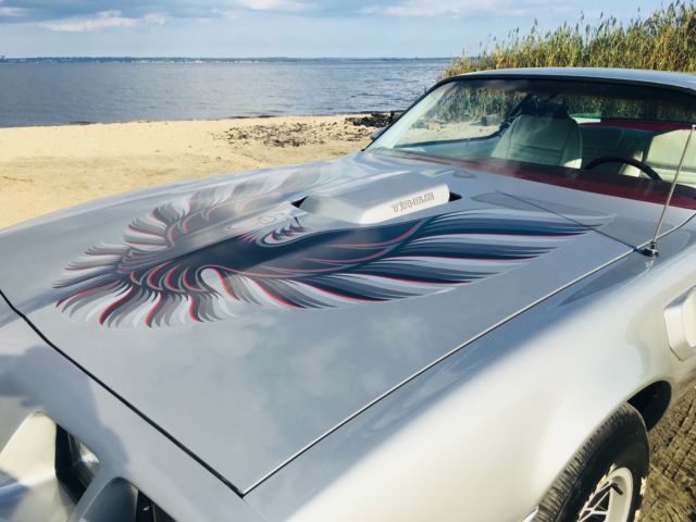 1979 pontiac trans am ta 1979 pontiac trans am low miles 55k 6.6 ws4 ws7 build