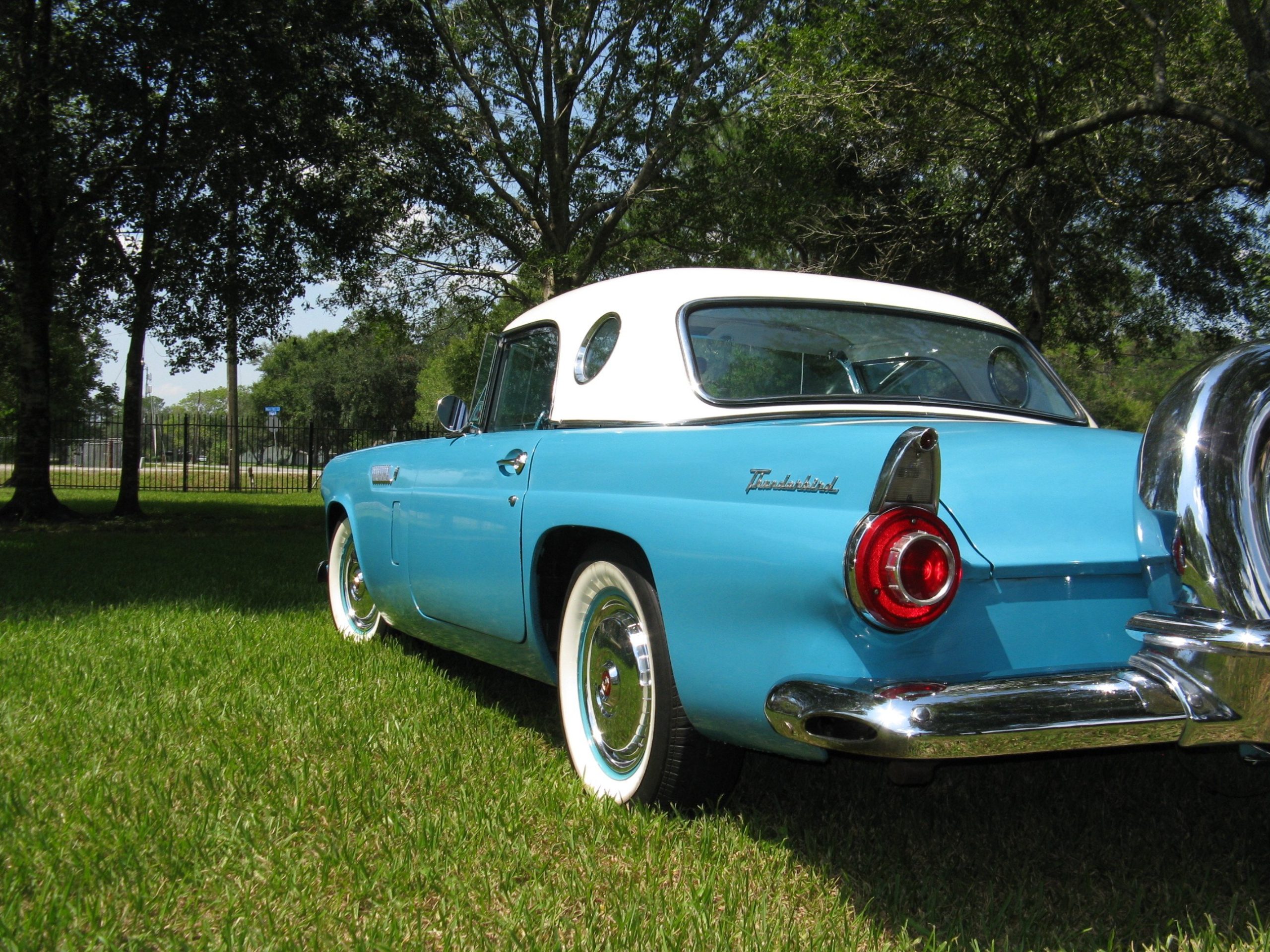 1956 ford thunderbird sport