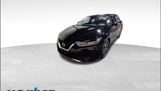 2023 Nissan Maxima
