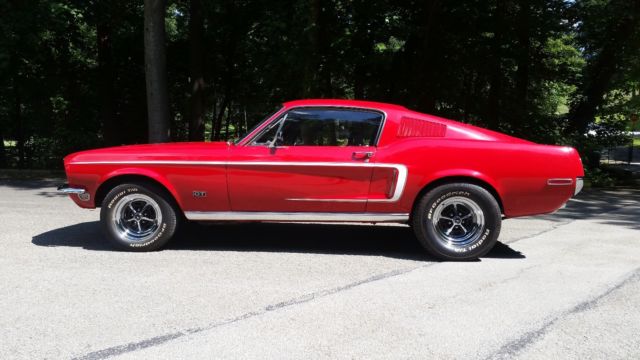 mustang gt tribute