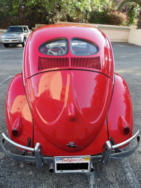 1951 beetle split window