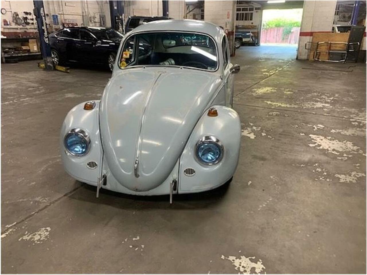 1967 volkswagen beetle