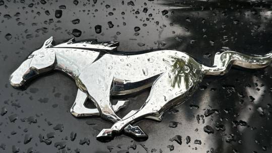 2021 Ford Mustang