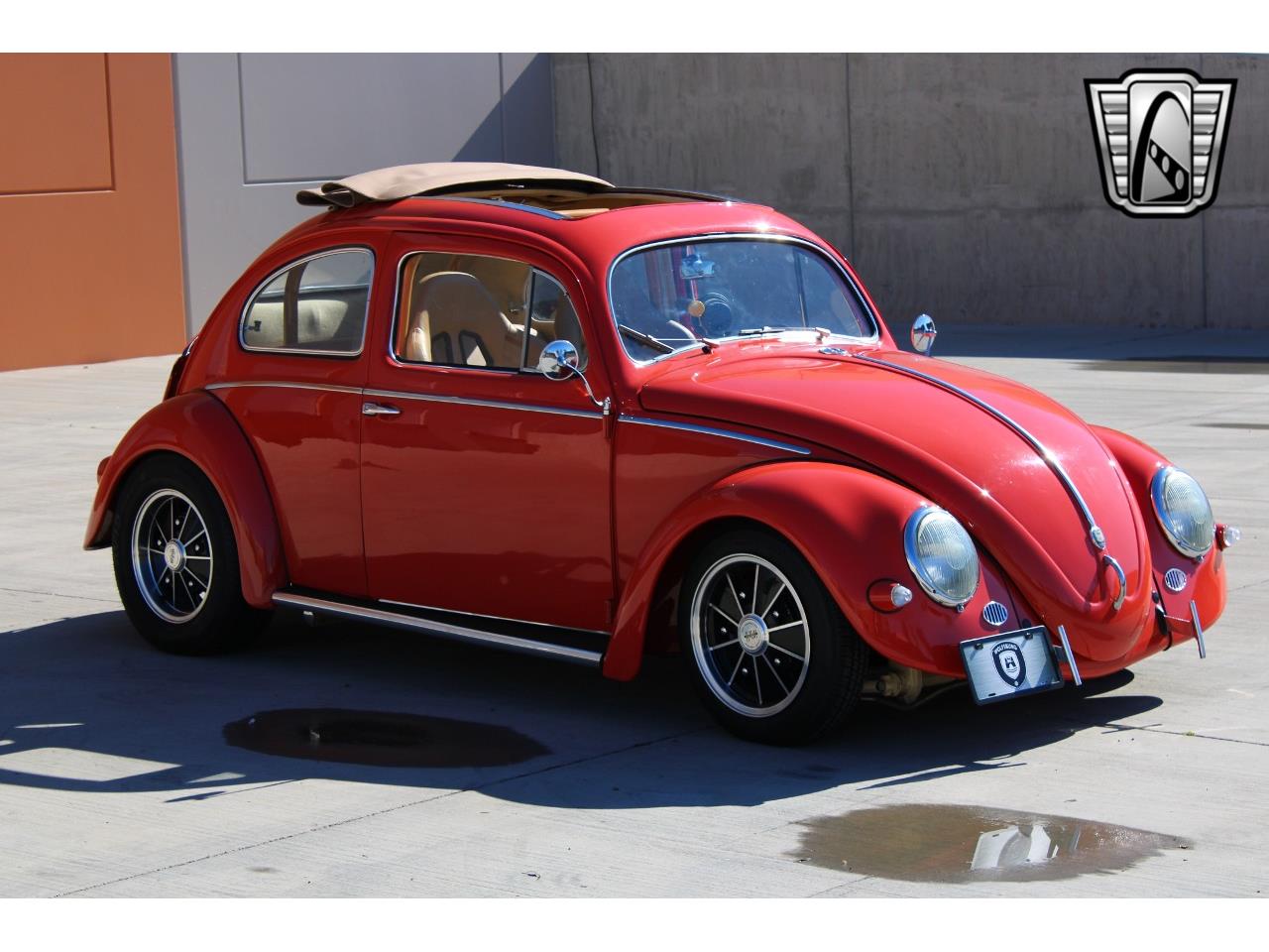 1966 volkswagen beetle