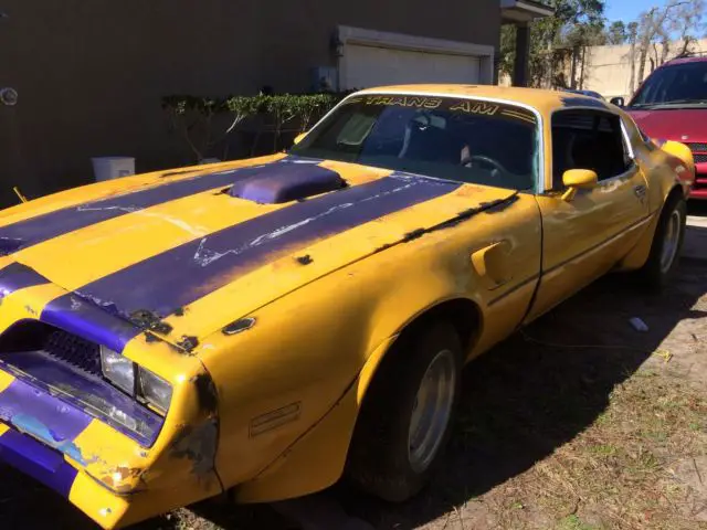 1978 pontiac firebird trans am - project car