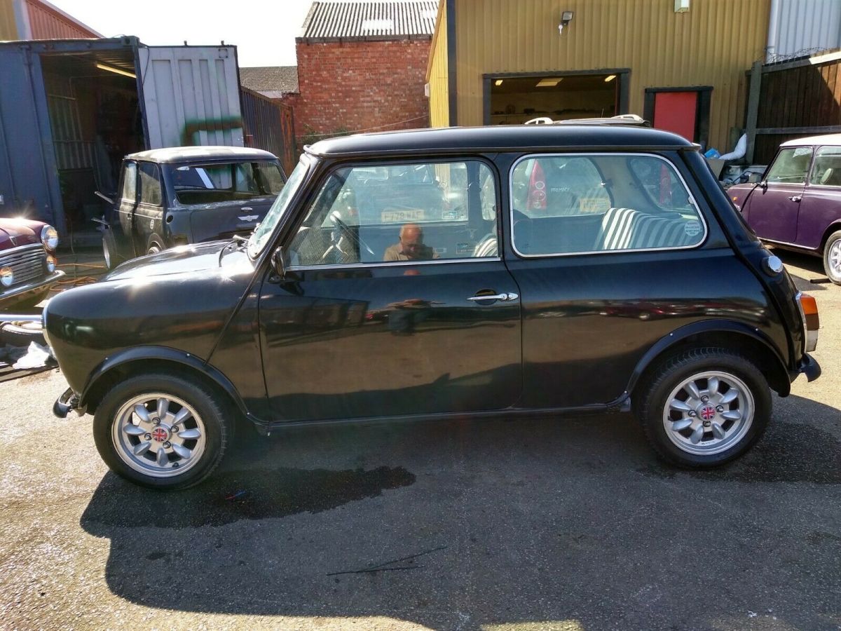 exclusive designer mini