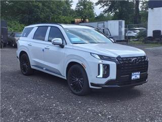 2025 Hyundai Palisade calligraphy night edition