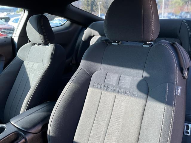 2019 ford mustang ecoboost