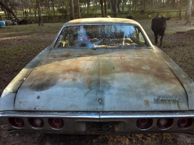 need body work