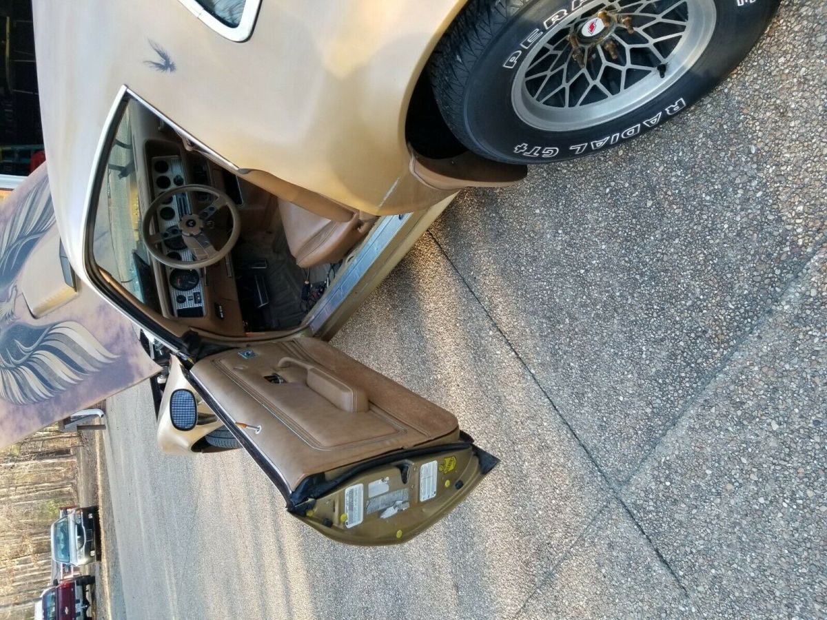 1979 trans am, 455 engine
