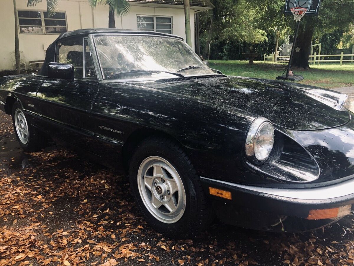 1986 alfa romeo spider convertible black rwd manual 2000 spider