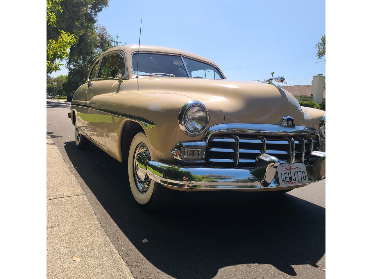 mercury monarch