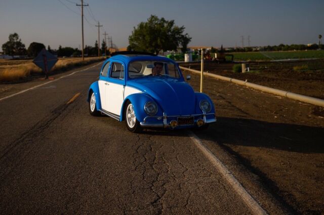 volkwagen bug
