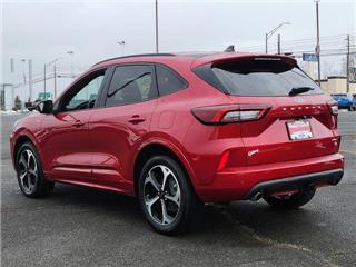 2023 Ford Escape st-line elite